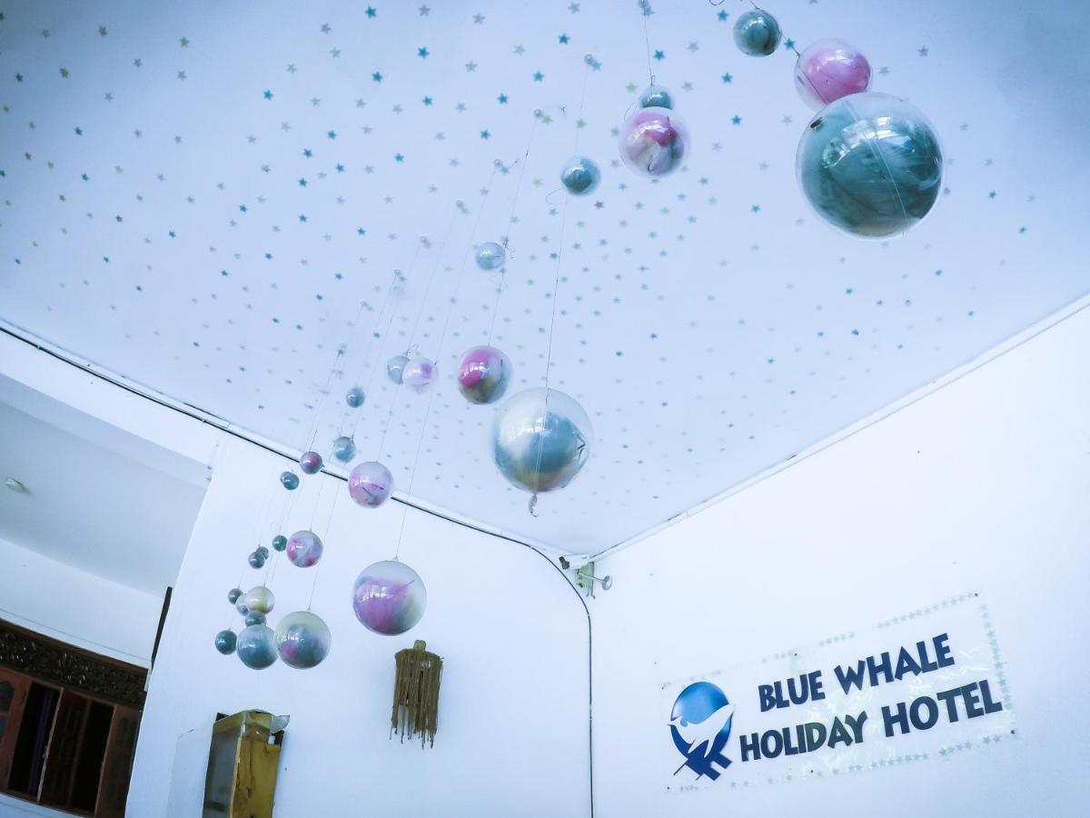 Mirissa Blue Whale Holiday Hotel 외부 사진